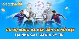 Cá Độ Bóng Đá Hấp Dẫn Và Nổi Bật Tại Nhà Cái 123Win Uy Tín