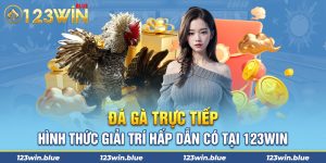 Đá Gà Trực Tiếp – Hình Thức Giải Trí Hấp Dẫn Có Tại 123Win