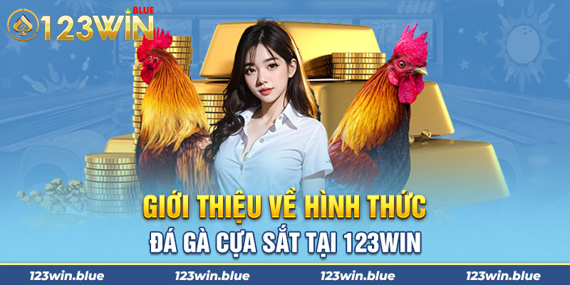 Giới thiệu về hình thức đá gà cựa sắt tại 123win