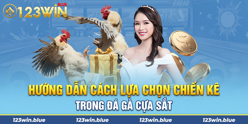 Hướng dẫn cách lựa chọn chiến kê trong đá gà cửa sắt