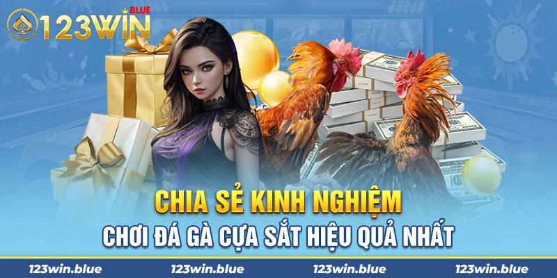 Chia sẻ kinh nghiệm chơi đá gà cựa sắt hiệu quả nhất