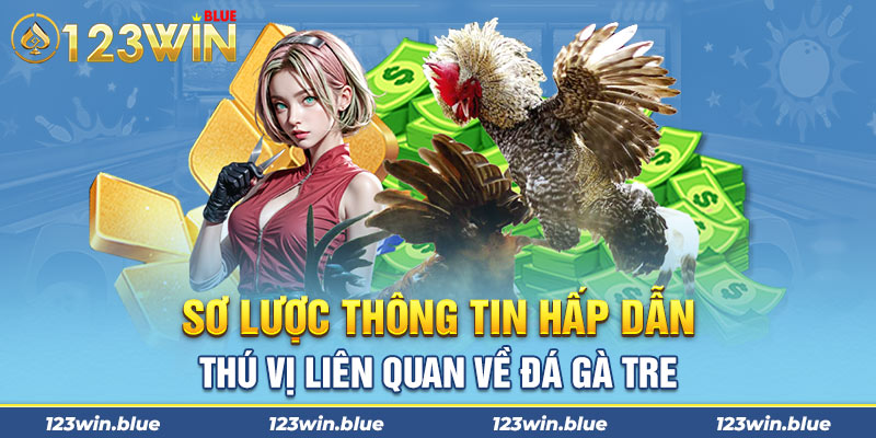 Sơ lược thông tin hấp dẫn, thú vị liên quan về đá gà tre