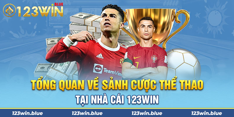 Tổng quan về sảnh cược thể thao tại nhà cái 123win