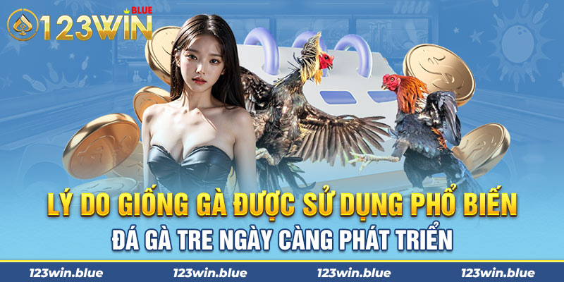 Lý do giống gà được sử dụng phổ biến - đá gà tre ngày càng phát triển