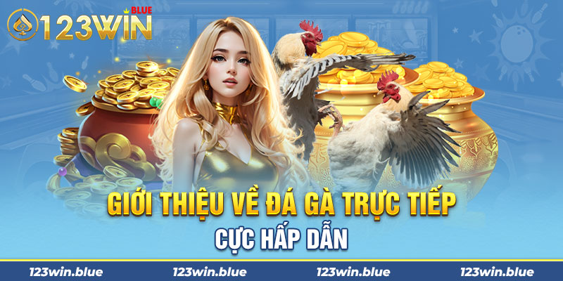 Giới thiệu về đá gà trực tiếp cực hấp dẫn