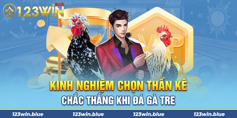 Kinh nghiệm chọn thần kê chắc thắng khi đá gà tre