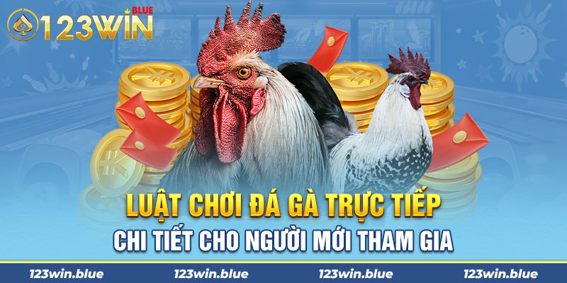 Luật chơi đá gà trực tiếp chi tiết cho người mới tham gia