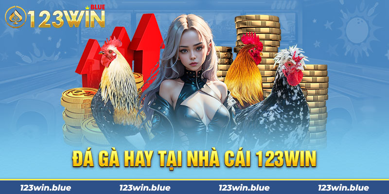  Đá gà hay tại nhà cái 123win