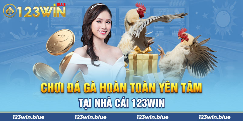 Chơi đá gà hoàn toàn yên tâm tại nhà cái 123win