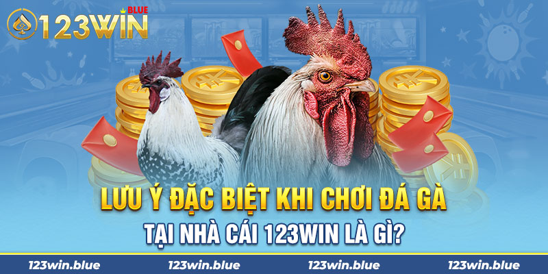 Lưu ý đặc biệt khi chơi đá gà tại nhà cái 123win là gì?