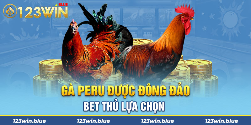 Gà Peru được đông đảo bet thủ lựa chọn