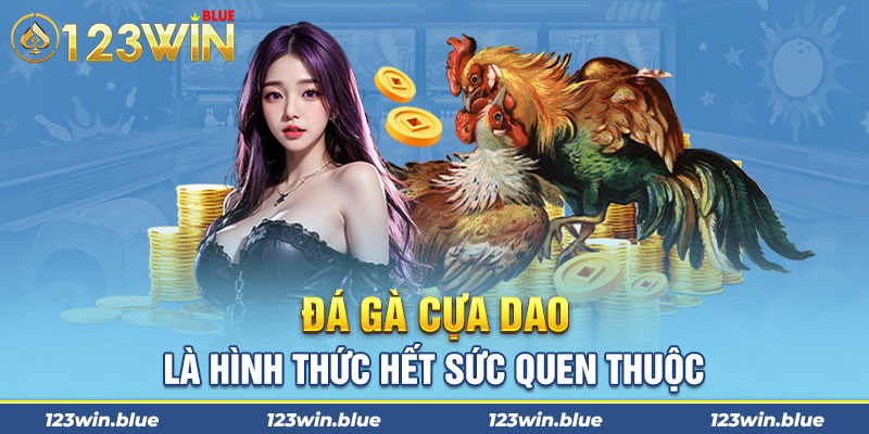 Đá gà cựa dao là hình thức hết sức quen thuộc