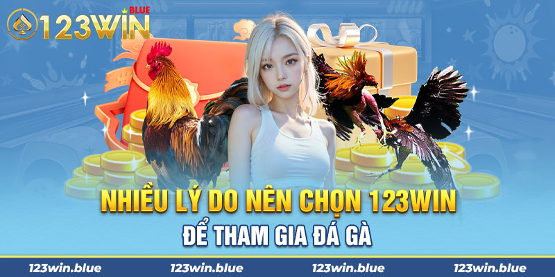 Nhiều lý do nên chọn 123Win để tham gia đá gà